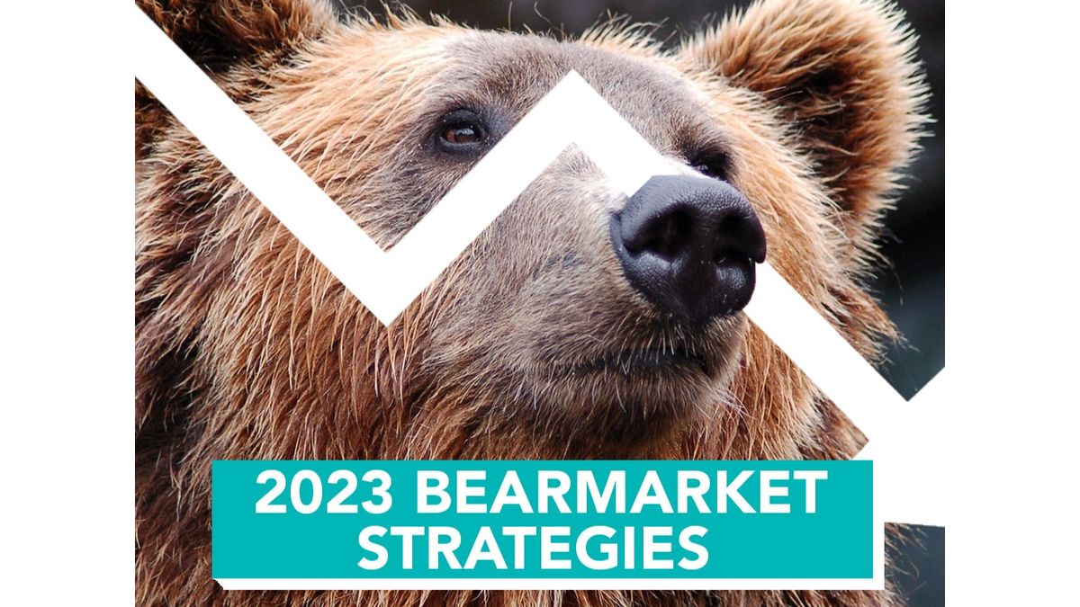 Safest Crypto Bear Market Strategies in 2023